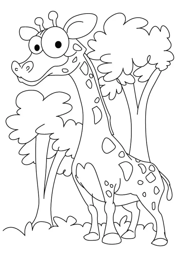 Omaľovánka - Žirafa - 2