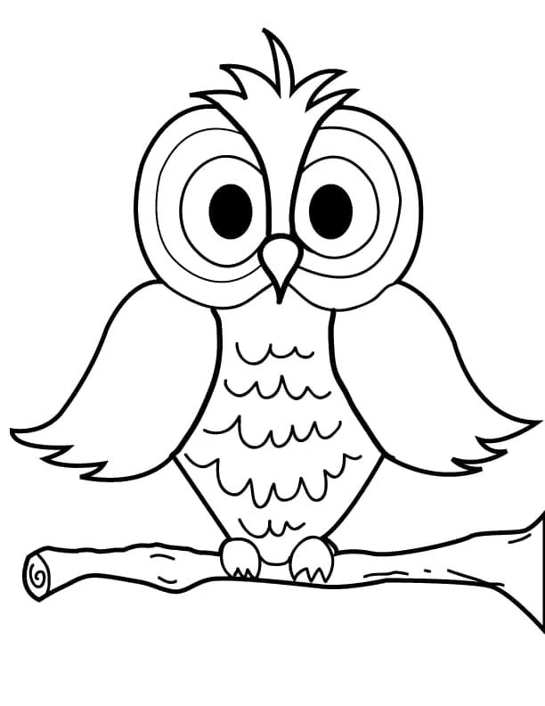 Omaľovánka - Sova - 2