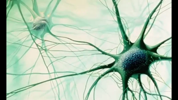 Bol raz jeden život – Neuróny - rozprávka
