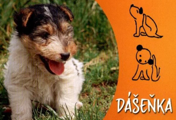Dášenka