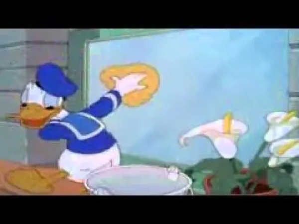 Kačer Donald, Pluto a Mickey – Káčer Donald - Umývač okien