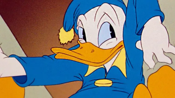 Kačer Donald, Pluto a Mickey – Káčer Donald - spánok