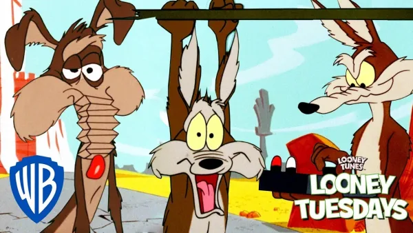 Kojot a Road Runner – Kojot a Road Runner